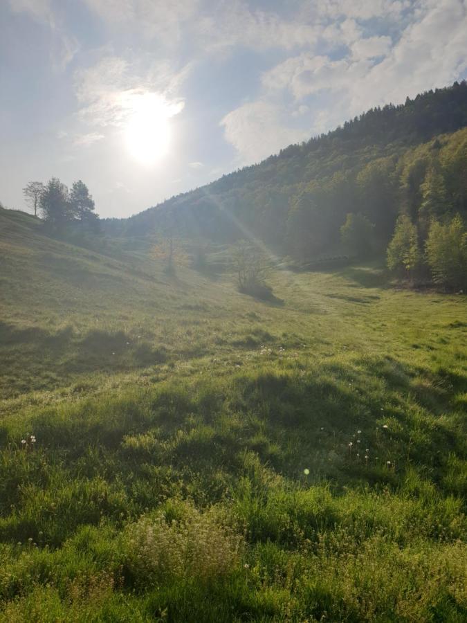 Agreable Chambre D'Hotes, Au Calme, Dans La Nature Roches Exterior photo
